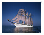 Sailing Ship Esmeralda in Puget Sound by Anonymous