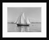 The Thetis Sailing on Lake Washington by Anonymous