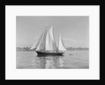 The Thetis Sailing on Lake Washington by Anonymous