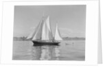 The Thetis Sailing on Lake Washington by Anonymous