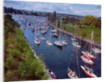 Sailboats in Opening Day Yacht Parade by Anonymous