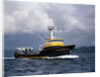 The Storm Petrel in Puget Sound by Anonymous