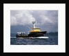 The Storm Petrel in Puget Sound by Anonymous