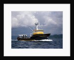 The Storm Petrel in Puget Sound by Anonymous