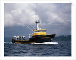 The Storm Petrel in Puget Sound by Anonymous