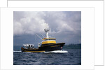The Storm Petrel in Puget Sound by Anonymous