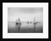 Sailboats Waiting to Race by Anonymous