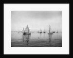 Sailboats Waiting to Race by Anonymous