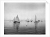 Sailboats Waiting to Race by Anonymous