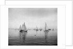 Sailboats Waiting to Race by Anonymous