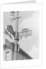 Street Light With Signs by Anonymous