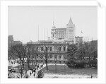 New York City Hall by Anonymous