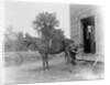 Blacksmith Shoeing a Horse by Anonymous