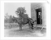 Blacksmith Shoeing a Horse by Anonymous