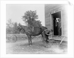 Blacksmith Shoeing a Horse by Anonymous
