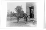 Blacksmith Shoeing a Horse by Anonymous