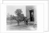 Blacksmith Shoeing a Horse by Anonymous
