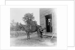 Blacksmith Shoeing a Horse by Anonymous