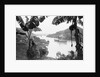 Ships in the Panama Canal by Anonymous