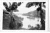 Ships in the Panama Canal by Anonymous