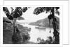 Ships in the Panama Canal by Anonymous