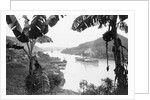 Ships in the Panama Canal by Anonymous