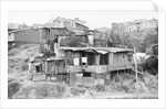 Shacks of Hillside Slum by Anonymous