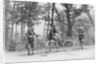 Bicyclists in Central Park by Anonymous