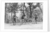 Bicyclists in Central Park by Anonymous