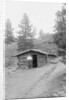 Man Standing in Front of Log Cabin by Anonymous