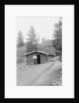 Man Standing in Front of Log Cabin by Anonymous