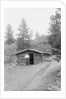 Man Standing in Front of Log Cabin by Anonymous