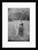 Woman in Wooded Meadow by Anonymous