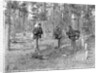 At the Grave of William Abbott by Anonymous