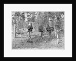 At the Grave of William Abbott by Anonymous