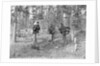 At the Grave of William Abbott by Anonymous