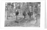 At the Grave of William Abbott by Anonymous