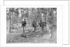 At the Grave of William Abbott by Anonymous