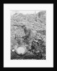 Elderly Miner Named "Daddy" by Anonymous