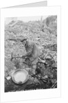 Elderly Miner Named "Daddy" by Anonymous