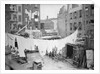 Clothesline and Tenements by Anonymous