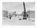 First Street in Atlin by Anonymous