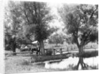 Women Crossing Bridge by Anonymous