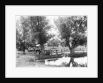 Women Crossing Bridge by Anonymous