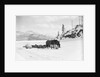 Horses and Sledge in the Klondike by Anonymous