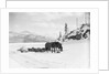 Horses and Sledge in the Klondike by Anonymous