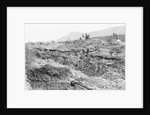 Sluice Mining in Alaska by Anonymous