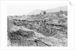 Sluice Mining in Alaska by Anonymous