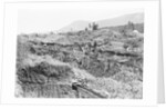 Sluice Mining in Alaska by Anonymous