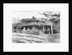 Men Talking in Central Park by Anonymous